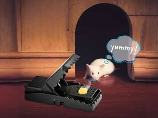 Plastic Mouse Catcher