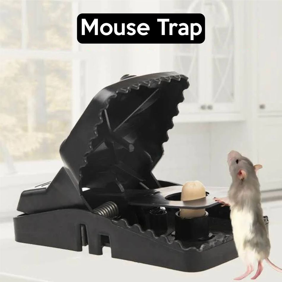 Plastic Mouse Catcher